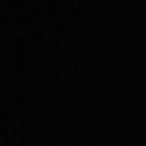 Meet your Posher, Ricky